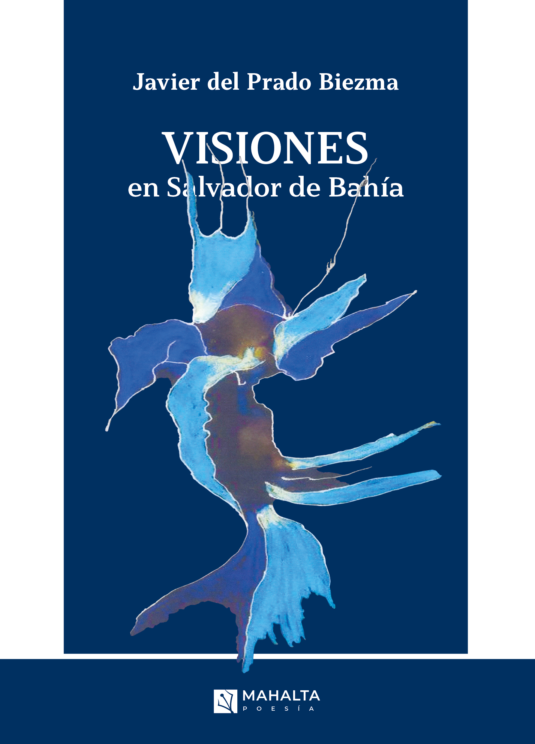Visiones