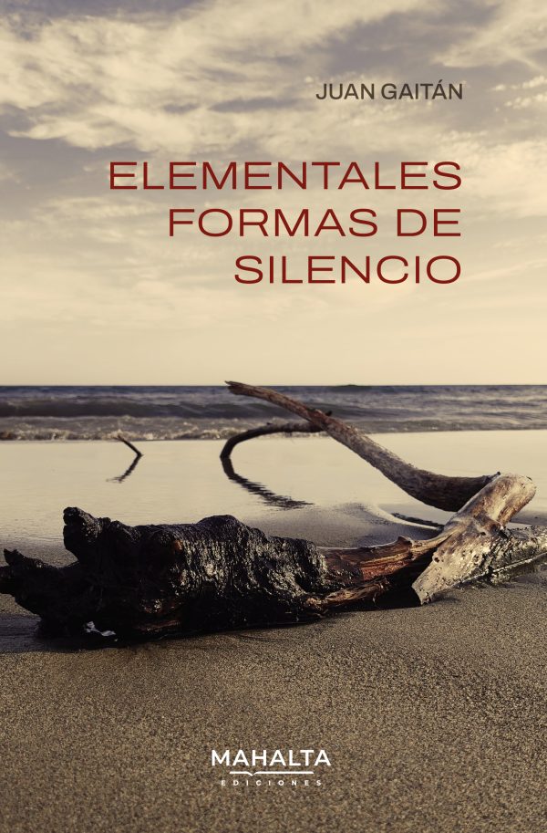 Elementales formas del silencio